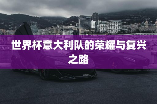 世界杯意大利队的荣耀与复兴之路永康市本千工贸有限公司