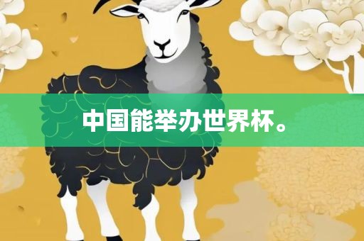 中国能举办世界杯。