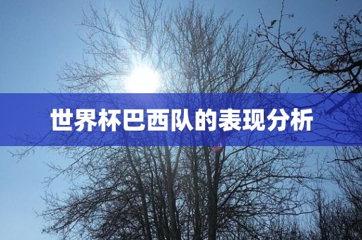 世界杯巴西队的表现分析永康市本千工贸有限公司