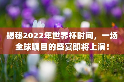 揭秘2022年世界杯时间,一场全球瞩目的盛宴即将上演!