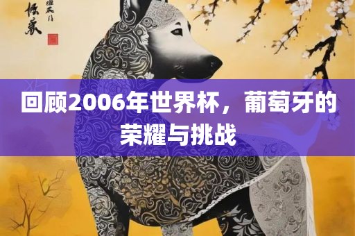 回顾2006年世界杯，葡萄牙的荣耀与挑战