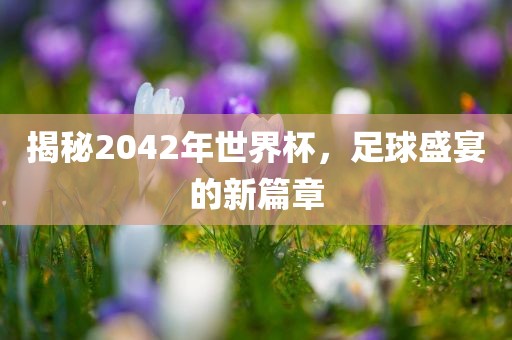 揭秘2042年世界杯永康市本千工贸有限公司,足球盛宴的新篇章