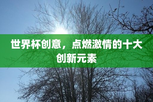 世界杯创意,点燃激情的十大创新元素