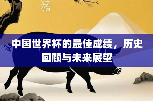 中国世界杯的最佳成绩,历史回顾与未来展望