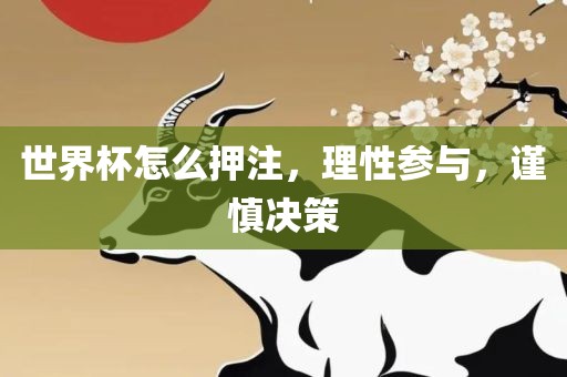 世界杯怎永康市本千工贸有限公司么押注，理性参与，谨慎决策