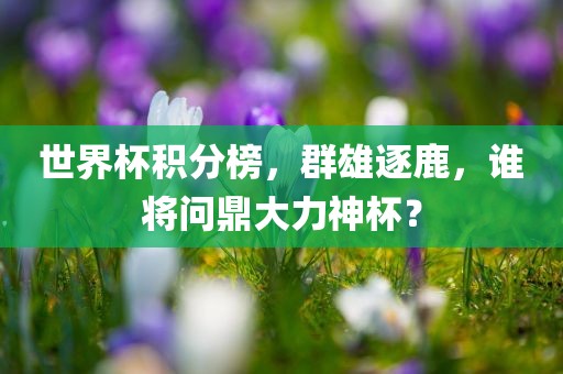 世界杯积分榜,群雄逐鹿,谁将问鼎大力神杯?