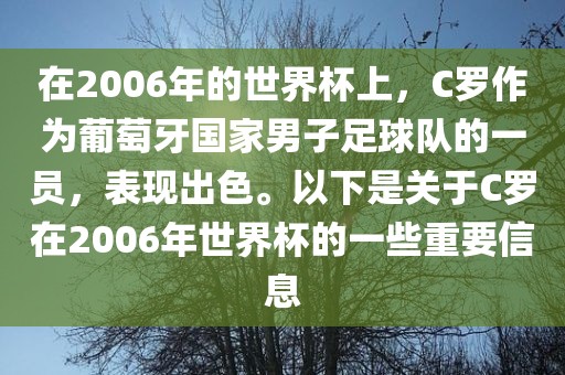 在2006年的世界杯上，C罗作为葡萄牙国家男子足球队的一员，表现出色。以下是关于C罗在2006年世界杯的一些重要信息