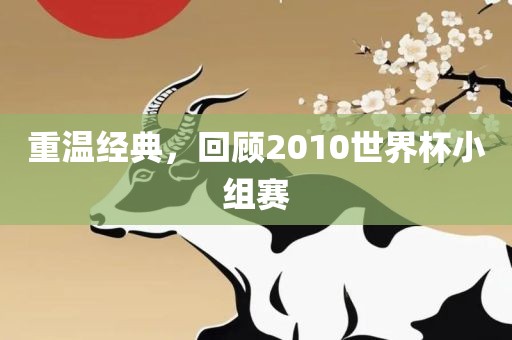 重温经典，回顾2010世界杯小组赛永康市本千工贸有限公司