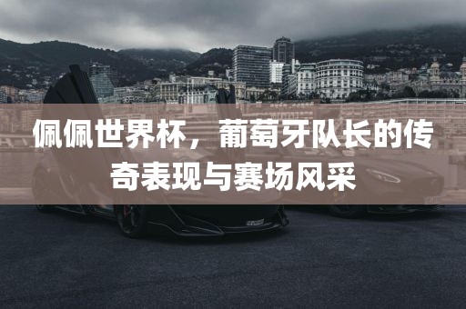 佩佩世界杯,葡萄牙队长的传奇表现与赛场风采永康市本千工贸有限公司