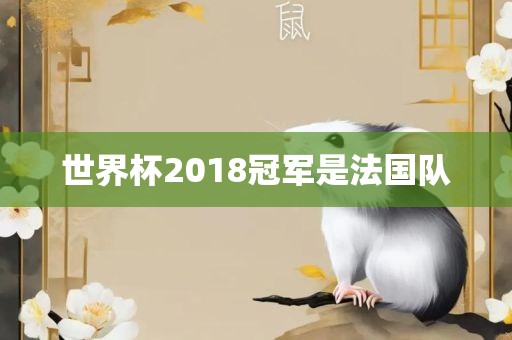 世界杯2018冠永康市本千工贸有限公司军是法国队