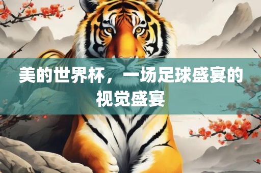 美的世界杯,一场足球盛宴的视觉盛宴