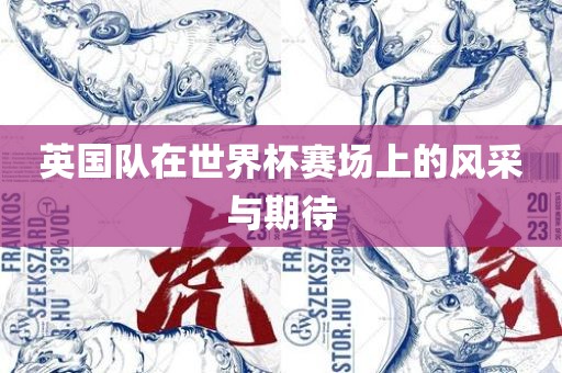 英国队在世界杯赛场上的风采与期待