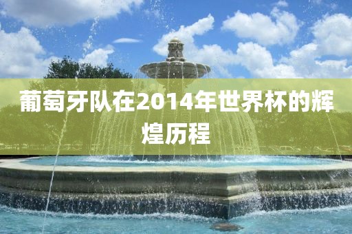 葡萄牙队在2014年世界杯的辉煌历程