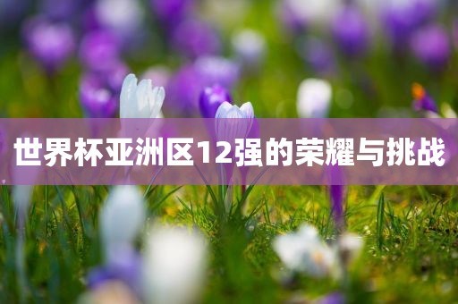 世界杯亚洲区12强的荣耀与挑战