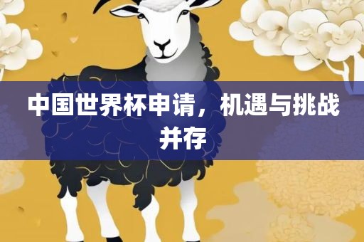 永康市本千工贸有限公司中国世界杯申请，机遇与挑战并存
