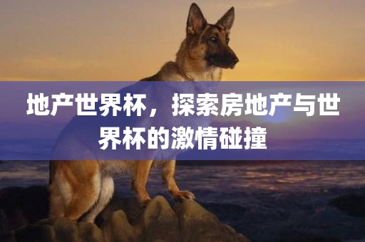 地产世界杯，探索房地产与世界杯的激情碰撞