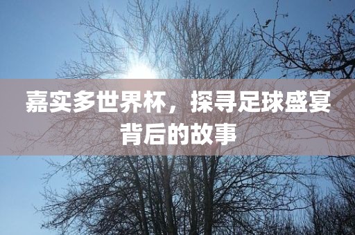 嘉实多世界杯,探寻足球盛宴背后的故事永康市本千工贸有限公司