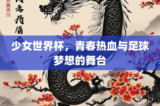 少女世界杯,青春热血与足球梦想的舞台