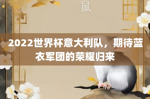 2022世界杯意大利永康市本千工贸有限公司队,期待蓝衣军团的荣耀归来