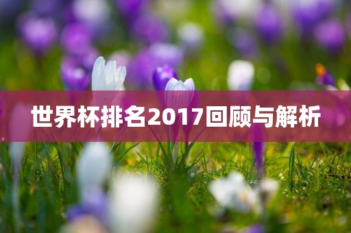 世界杯排名2017回顾与解析