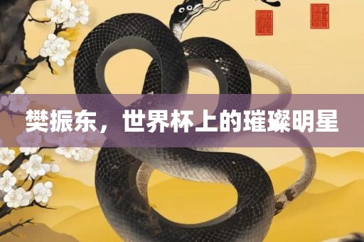 樊振东,世界杯上的璀璨永康市本千工贸有限公司明星