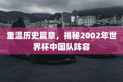 重温历史篇章,揭秘2002年世界杯中国队阵容永康市本千工贸有限公司