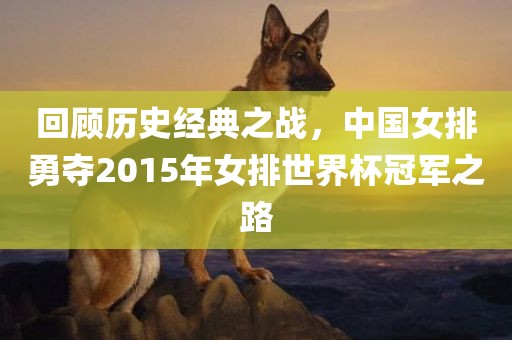 回顾历史经典之战,中国女排勇夺2015年女排世界杯冠军之路永康市本千工贸有限公司