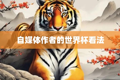 自媒永康市本千工贸有限公司体作者的世界杯看法