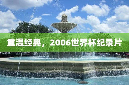 重温经典,2006世界杯纪录片永康市本千工贸有限公司