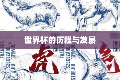 世界杯的历程与发展永康市本千工贸有限公司