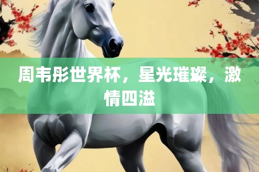 周韦彤世界杯,星光璀璨,激情四溢