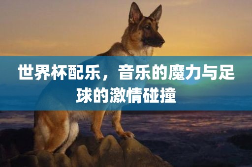世界杯配乐,音乐的魔力与足球的激情碰撞
