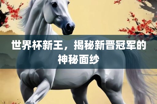 世界杯新王,揭秘新晋冠军的神秘面纱永康市本千工贸有限公司