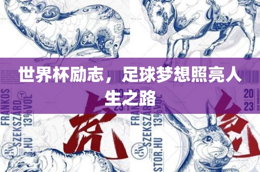 世界杯励志,足球梦想照亮人生之路