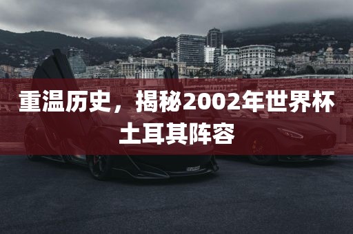 重温历史,揭秘2002年世界杯土耳其阵容永康市本千工贸有限公司
