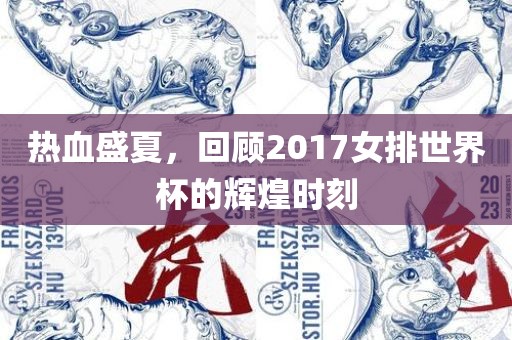 热血盛永康市本千工贸有限公司夏,回顾2017女排世界杯的辉煌时刻