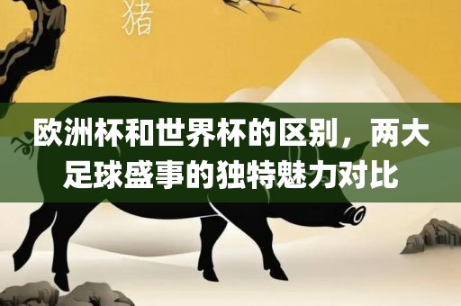 欧洲杯和世界杯的区别，两大足球盛事的独特魅力对比