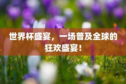 世界杯盛宴,一场普及全球的狂欢盛宴!