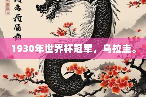 1930年世界杯冠军，乌拉圭。