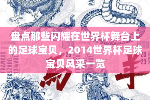 盘点那些闪耀在世界杯舞台上的足球宝贝,2014世界杯足球宝贝风采一览