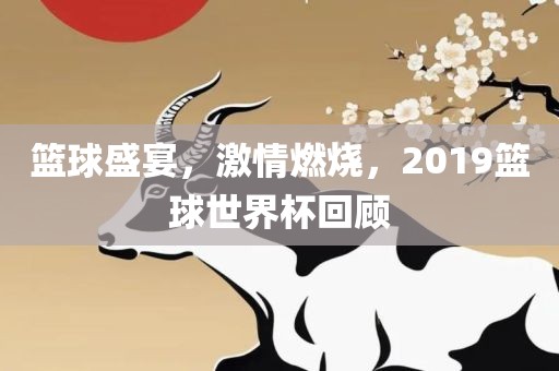 篮球盛宴，激情燃烧，2019篮球世界杯回顾永康市本千工贸有限公司