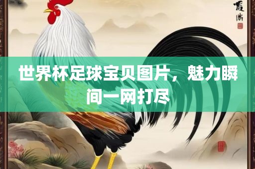 世界杯足球宝贝图片,魅力瞬间一网打尽