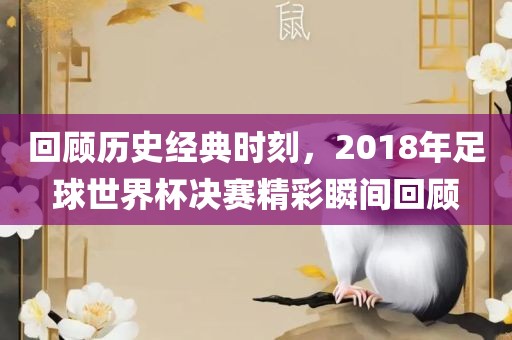 回顾历史经典时刻,2018年足球世界杯决赛精彩瞬间回顾