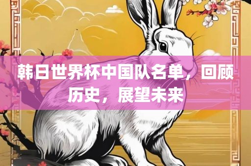 韩永康市本千工贸有限公司日世界杯中国队名单,回顾历史,展望未来