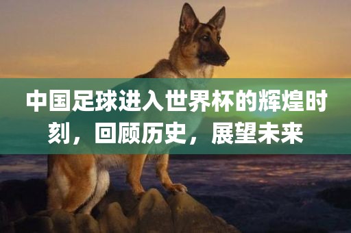 中国足球进入世界杯的辉煌时刻,回顾历史,展望未来永康市本千工贸有限公司