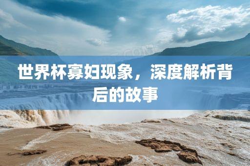 世界杯寡妇现象,深度解析背后的故事永康市本千工贸有限公司