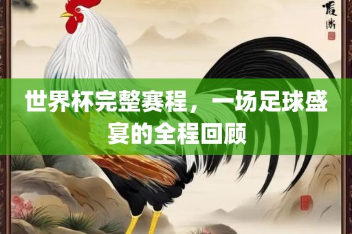 世界杯完整赛程,一场足球盛宴的全程回顾