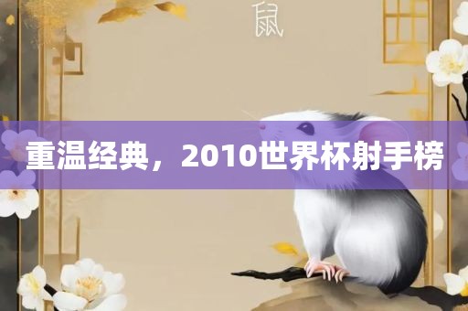 重温经典,2010世界杯射手榜