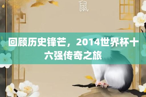 回顾历史锋芒,2014世界杯十六强传奇之旅