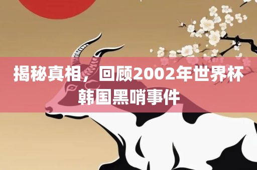 揭秘真相,回顾2002年世界杯韩国黑哨事件